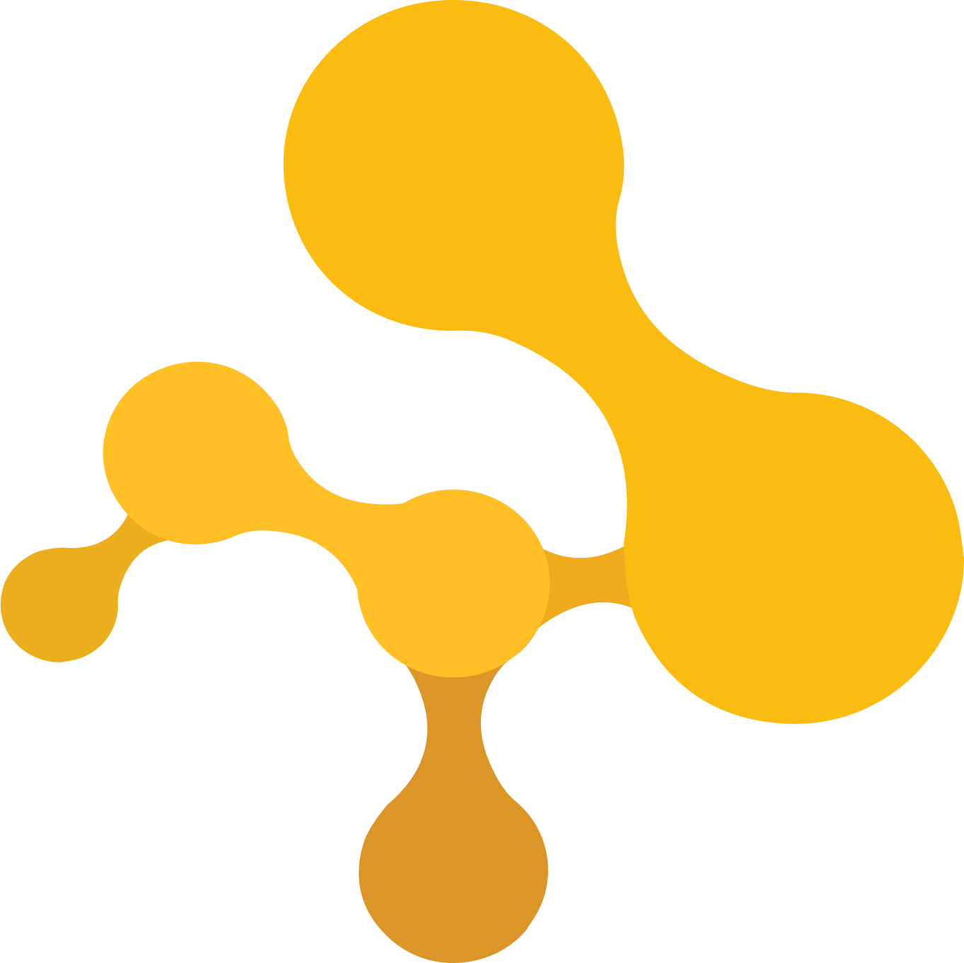ACME Logo